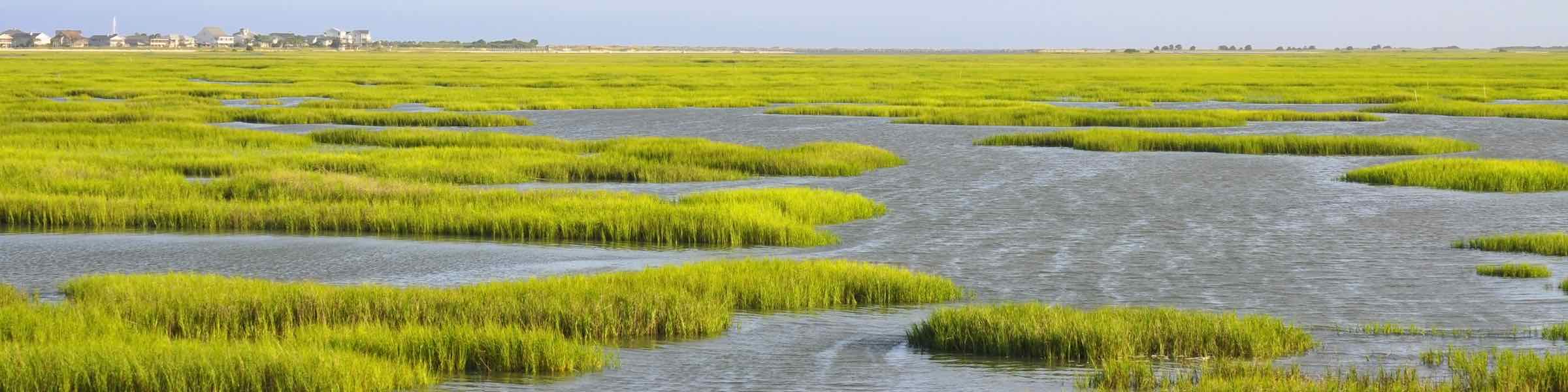 The salt marshes at Murrells Inlet, SC.