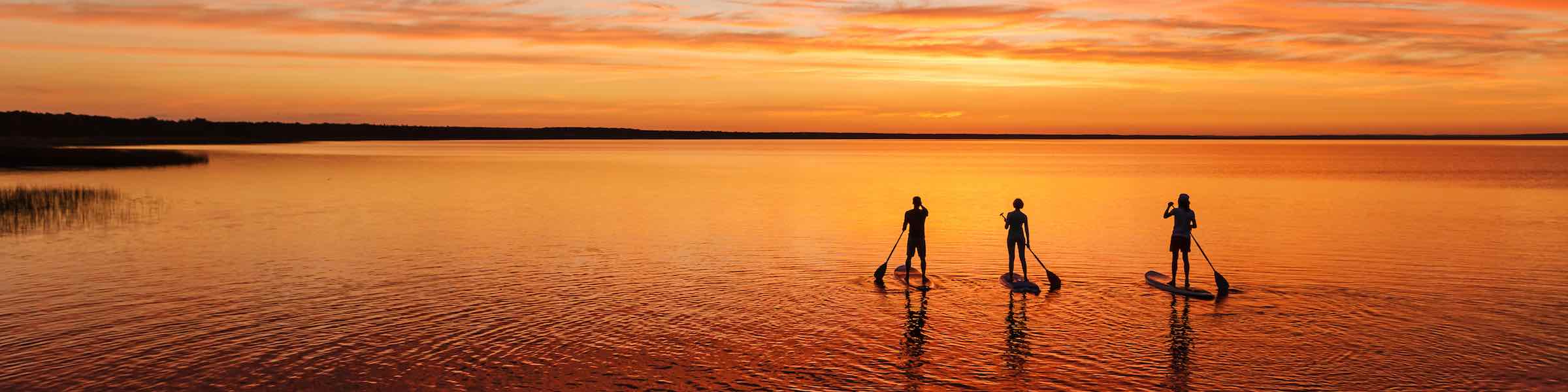 Three paddleboarders on an open expanse of water adjacent to the marsh, looking at a vivid red sunset.