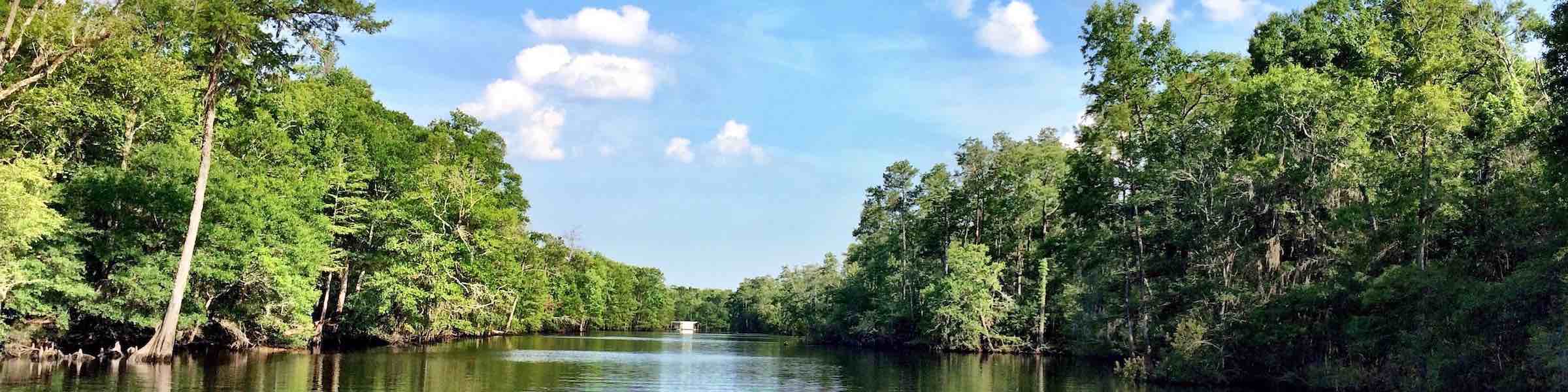 View of the Waccamaw River, South Carolina.